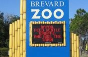 Brevard Zoo