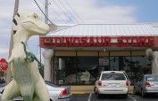 Dinosaur Store Cocoa Beach