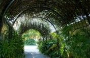 McKee Botanical Garden