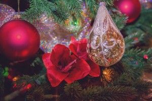 WMChristmasParty-005